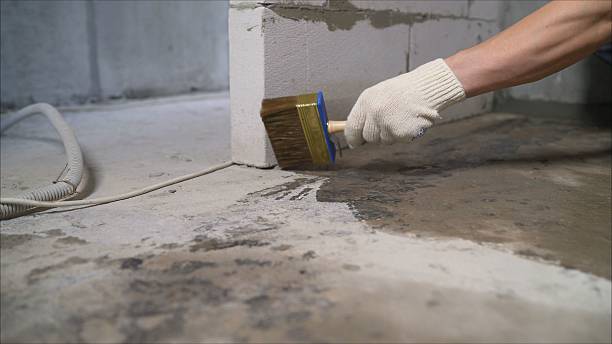 24/7 Emergency Crawl Space Encapsulation experts in Harrington Park, NJ